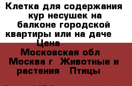 Клетка для содержания 7кур несушек на балконе городской квартиры или на даче.  › Цена ­ 5 000 - Московская обл., Москва г. Животные и растения » Птицы   